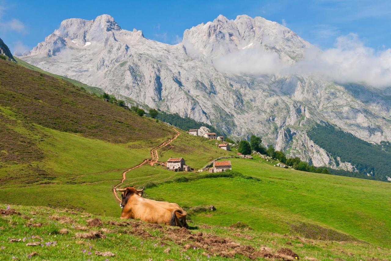 El Caleyon Bed & Breakfast Bulnes Dış mekan fotoğraf