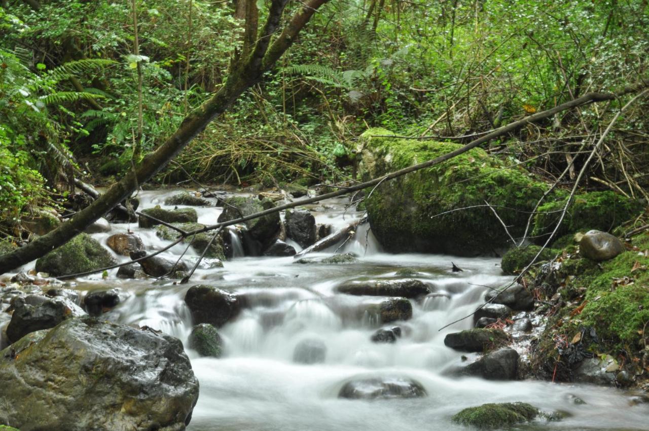 El Caleyon Bed & Breakfast Bulnes Dış mekan fotoğraf